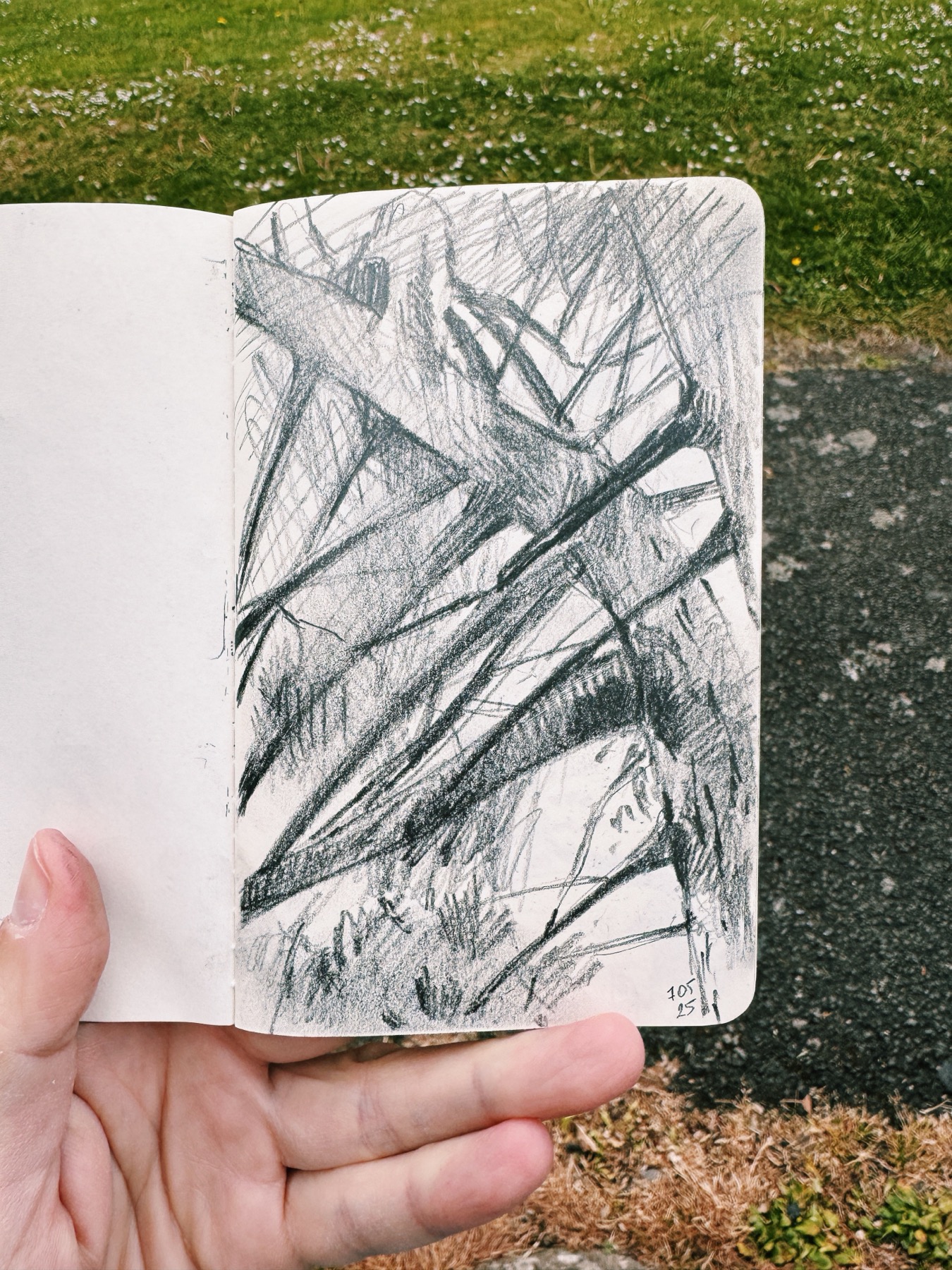 Branch sketchbook drawing from Alexandra Park Penarth