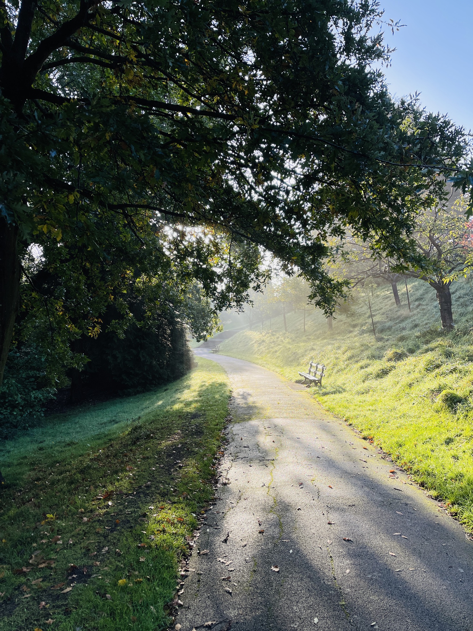 Morning light on a path in Alexandra Park Penarth