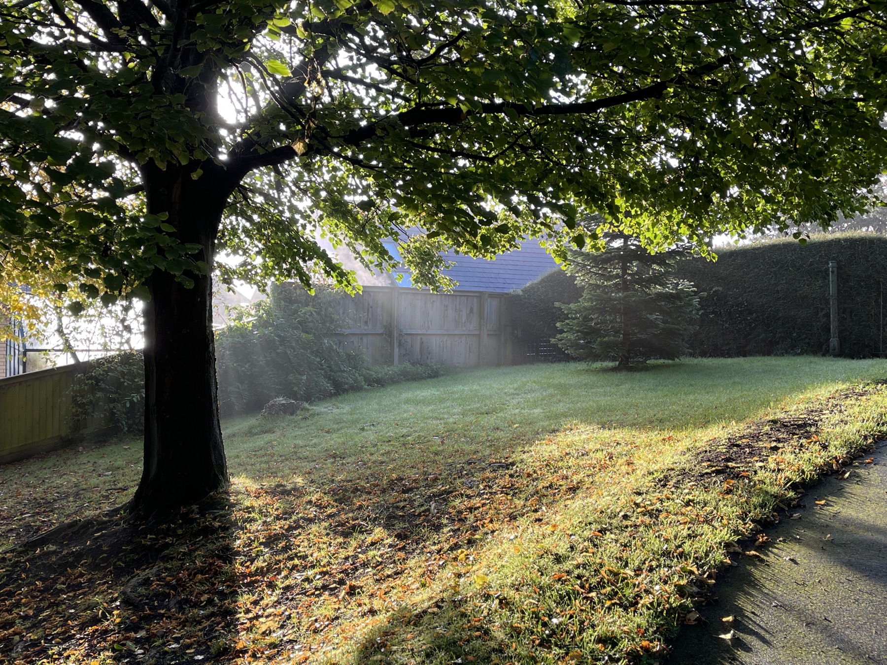 Morning mist and low sun in Alexandra Park Penarth