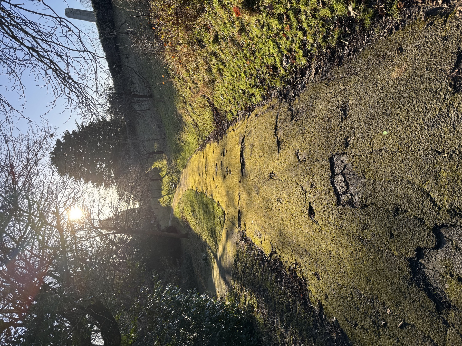Mossy path climbing through Alexandra Park Penarth