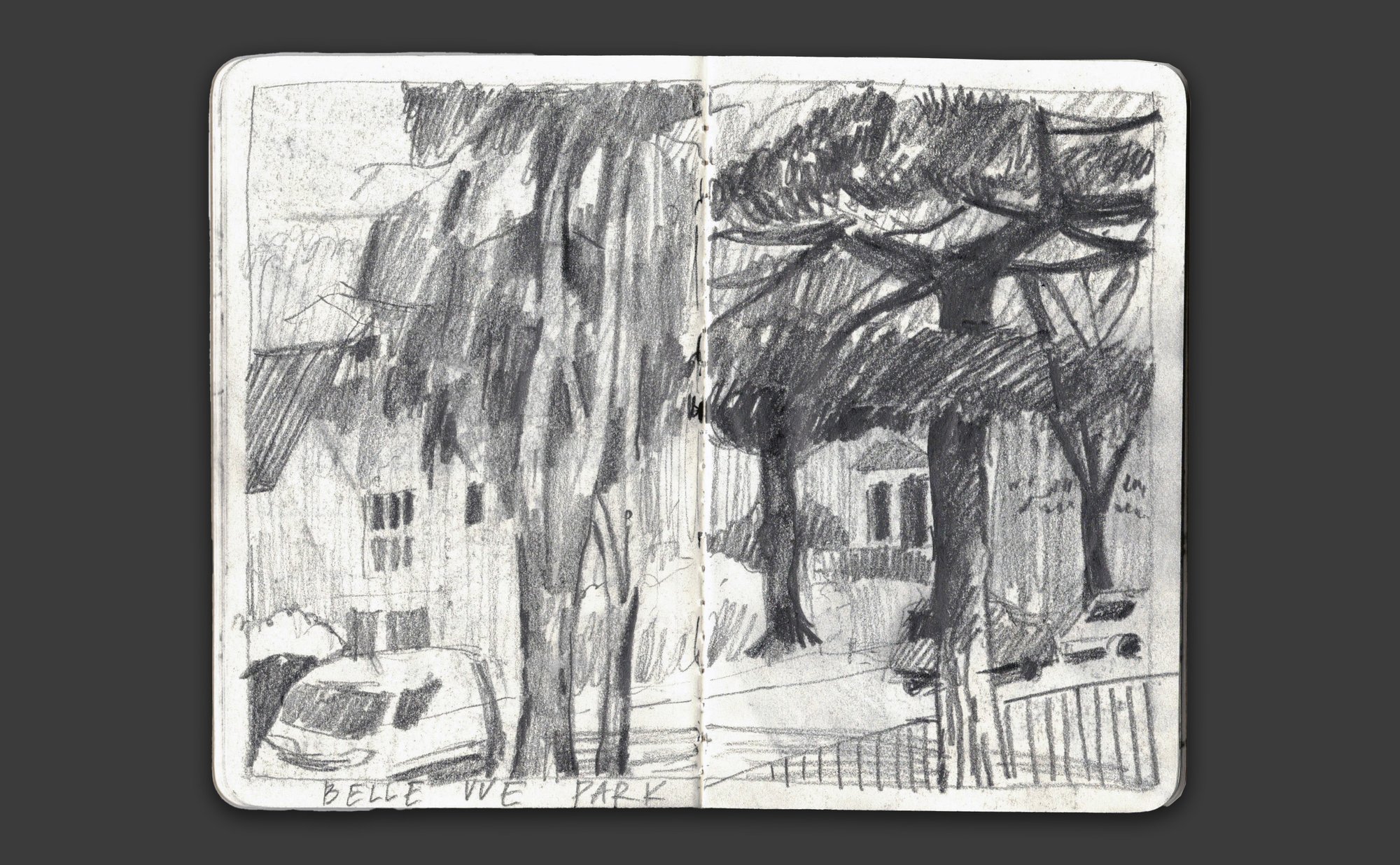 Sketchbook drawing of the pines and houses at Belle Vue Park, Penarth
