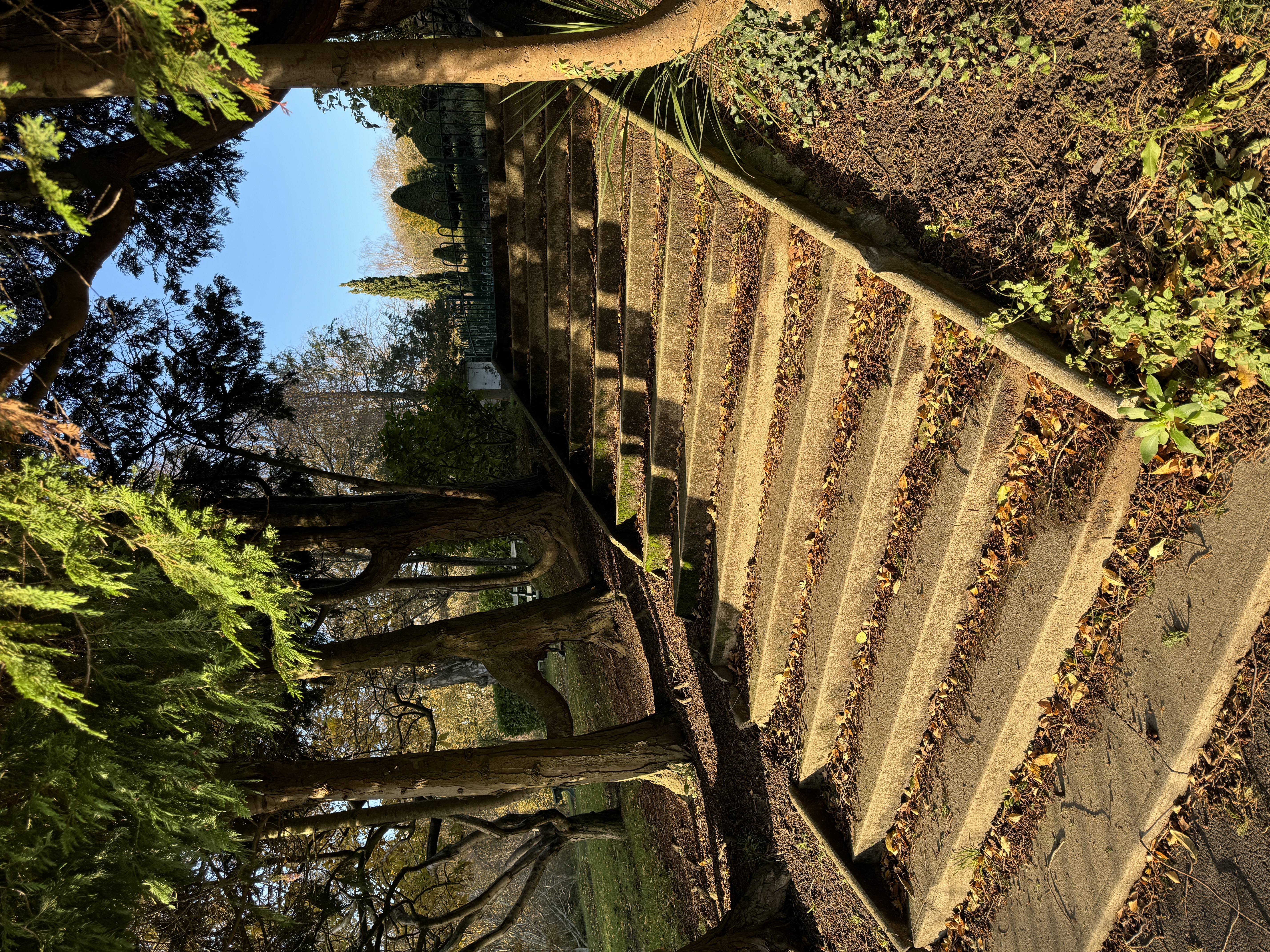 Sunlit stone steps beneath mature trees in Alexandra Park, Penarth