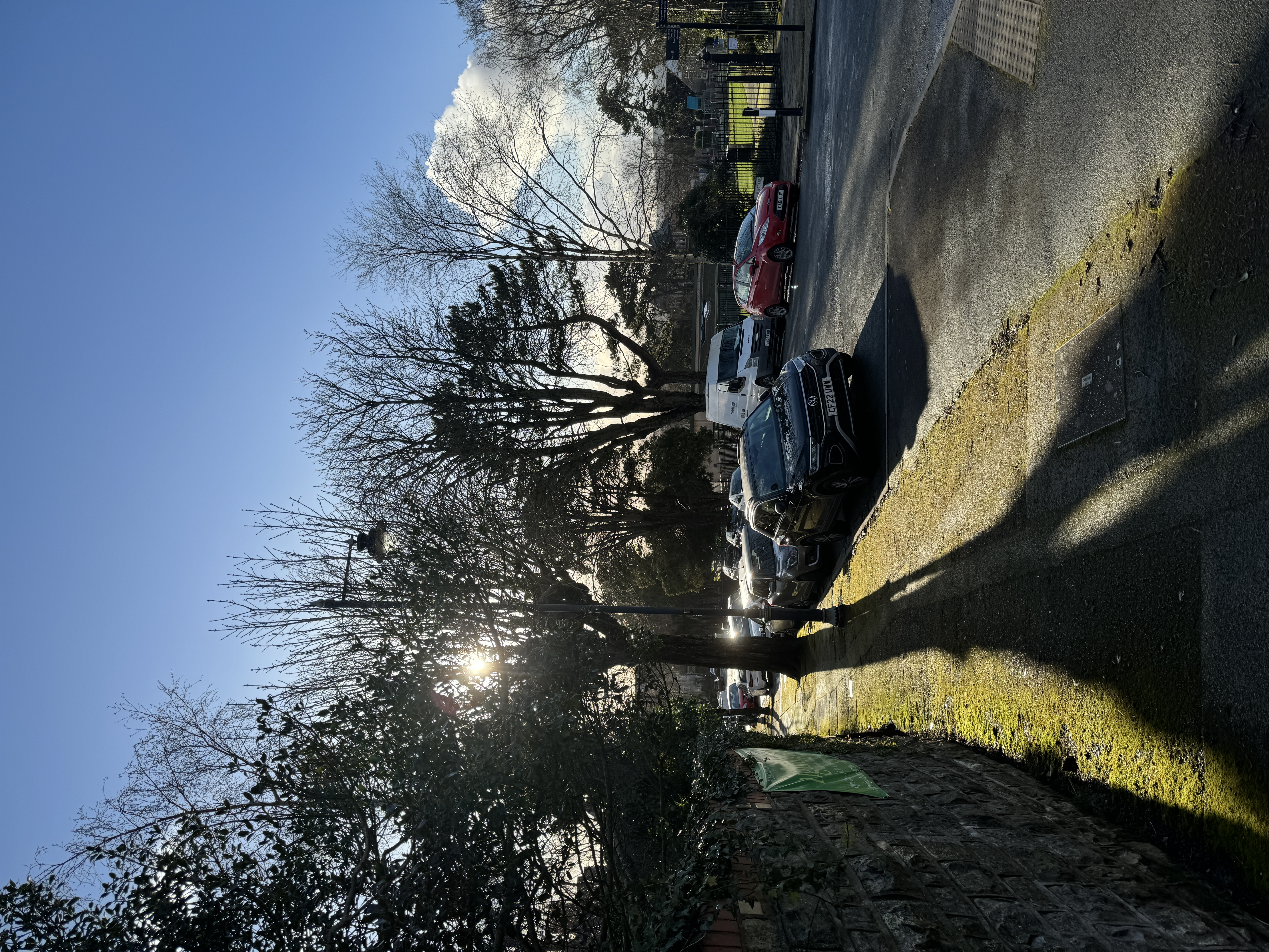 Winter sunlight on the street beside Belle Vue Park, Penarth