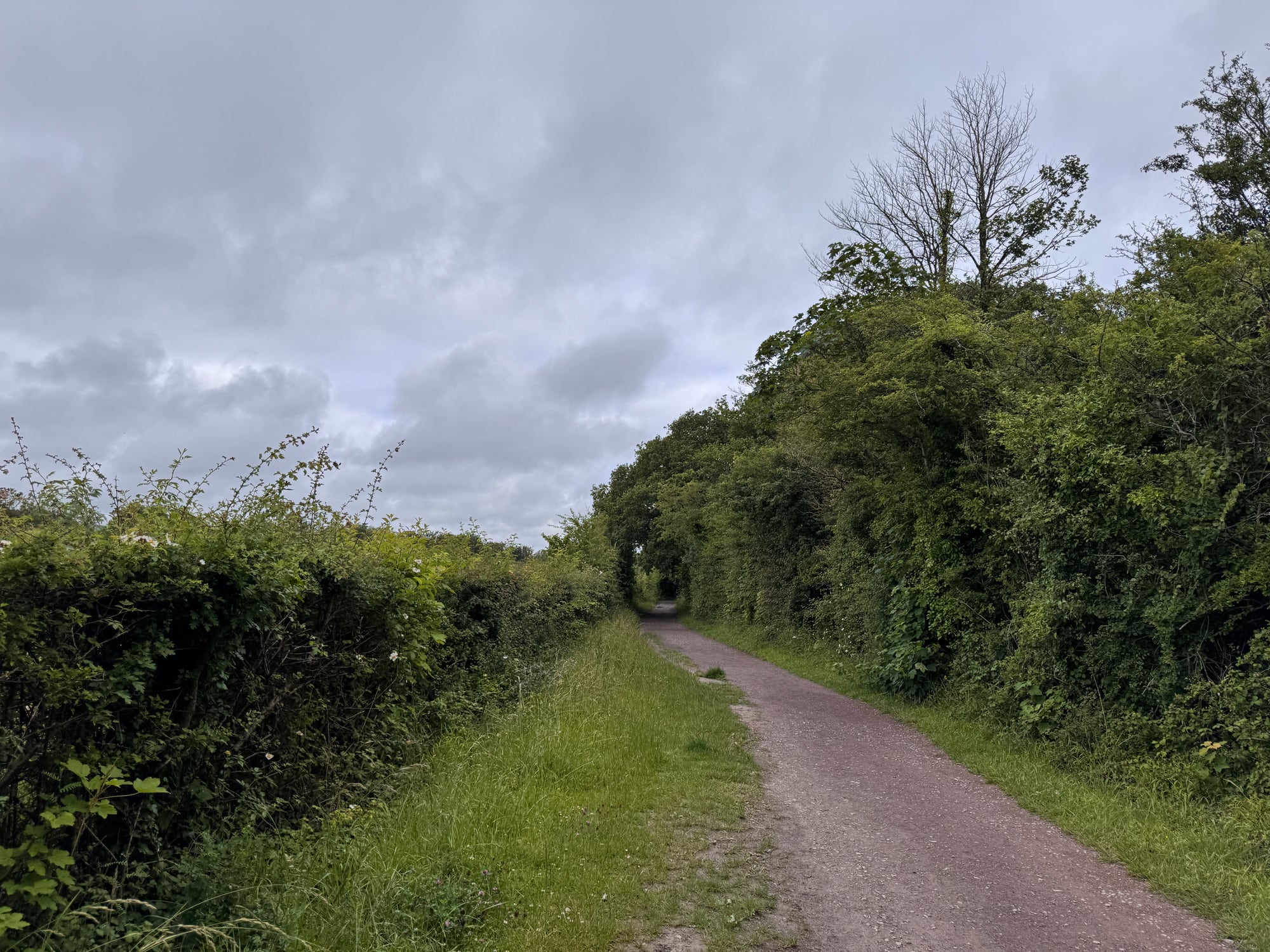 A green country lane at Cosmeston beneath a cloudy sky