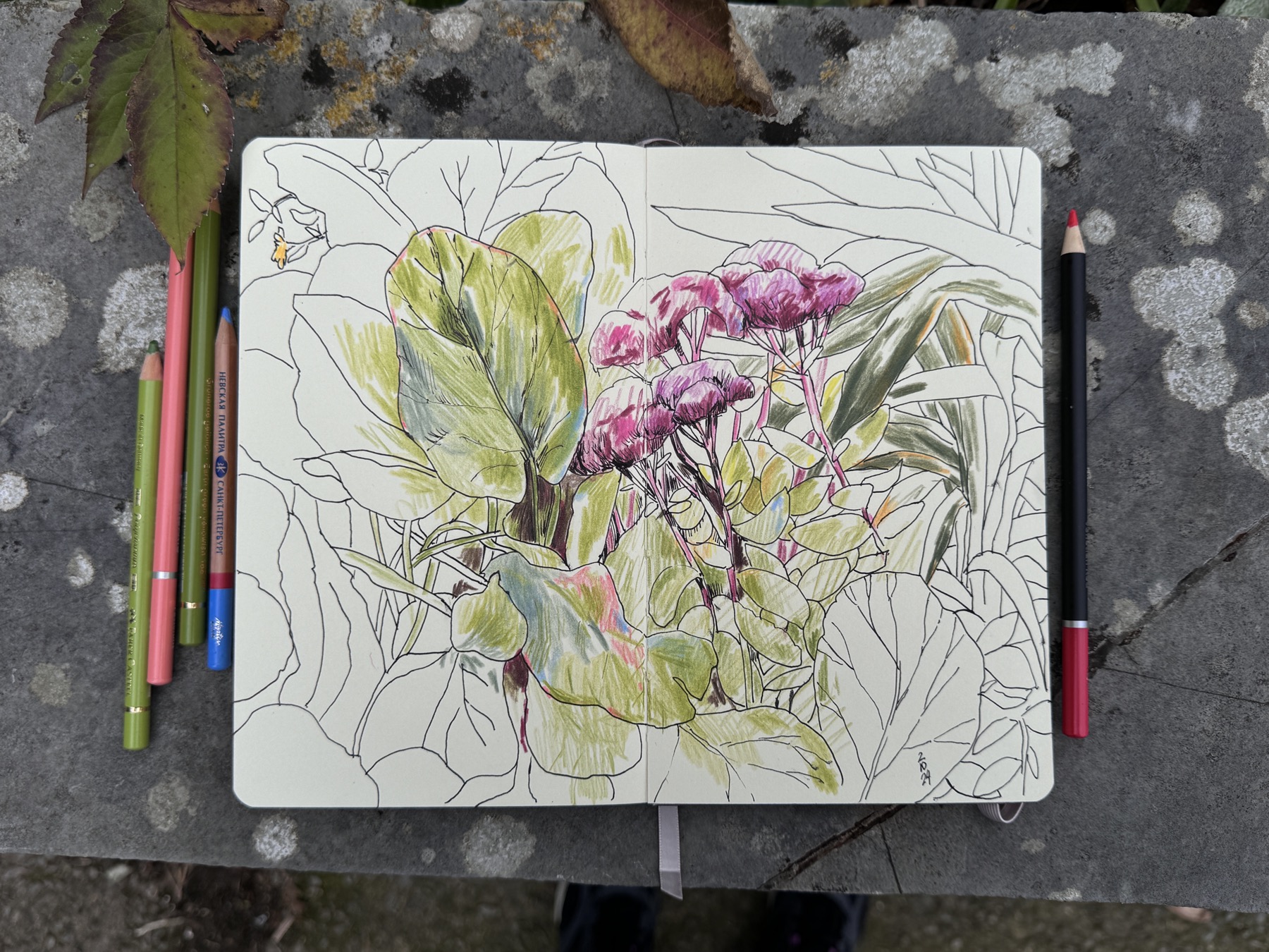 Flower sketchbook drawing in Italian Gardens Penarth