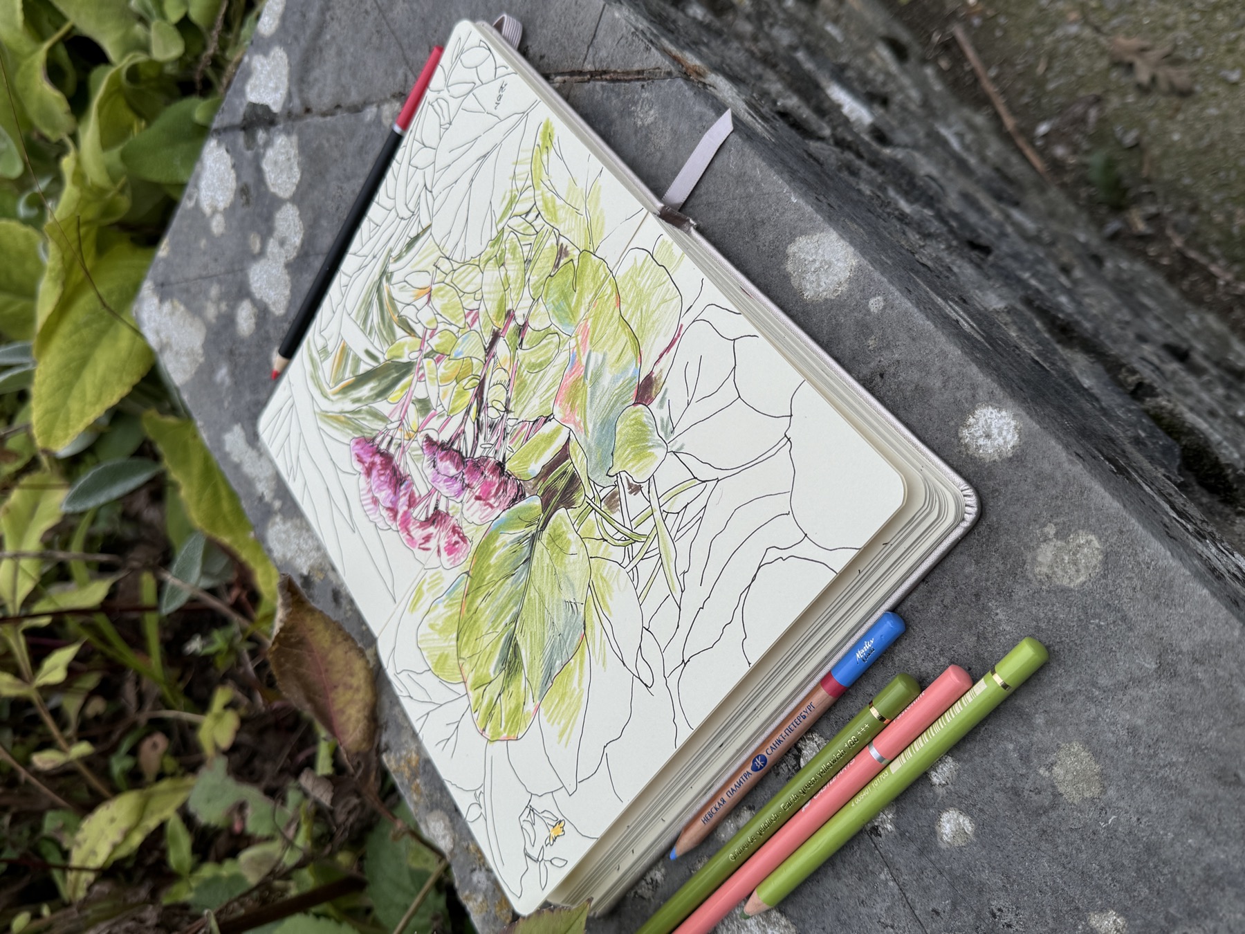 Sketchbook and coloured pencils during an outdoor drawing session
