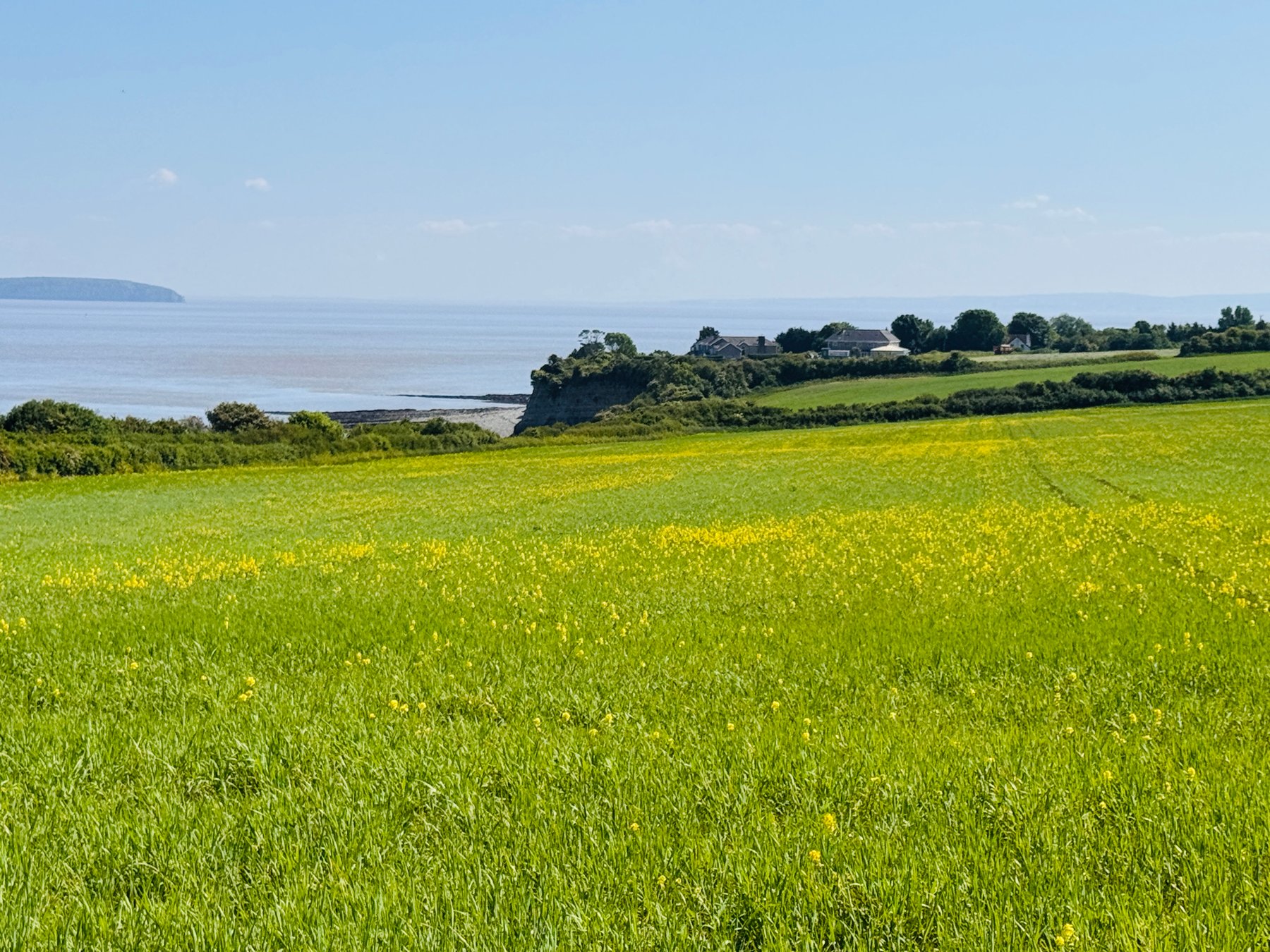 Green fields and the Bristol Channel on the clifftop walk between Penarth and Lavernock