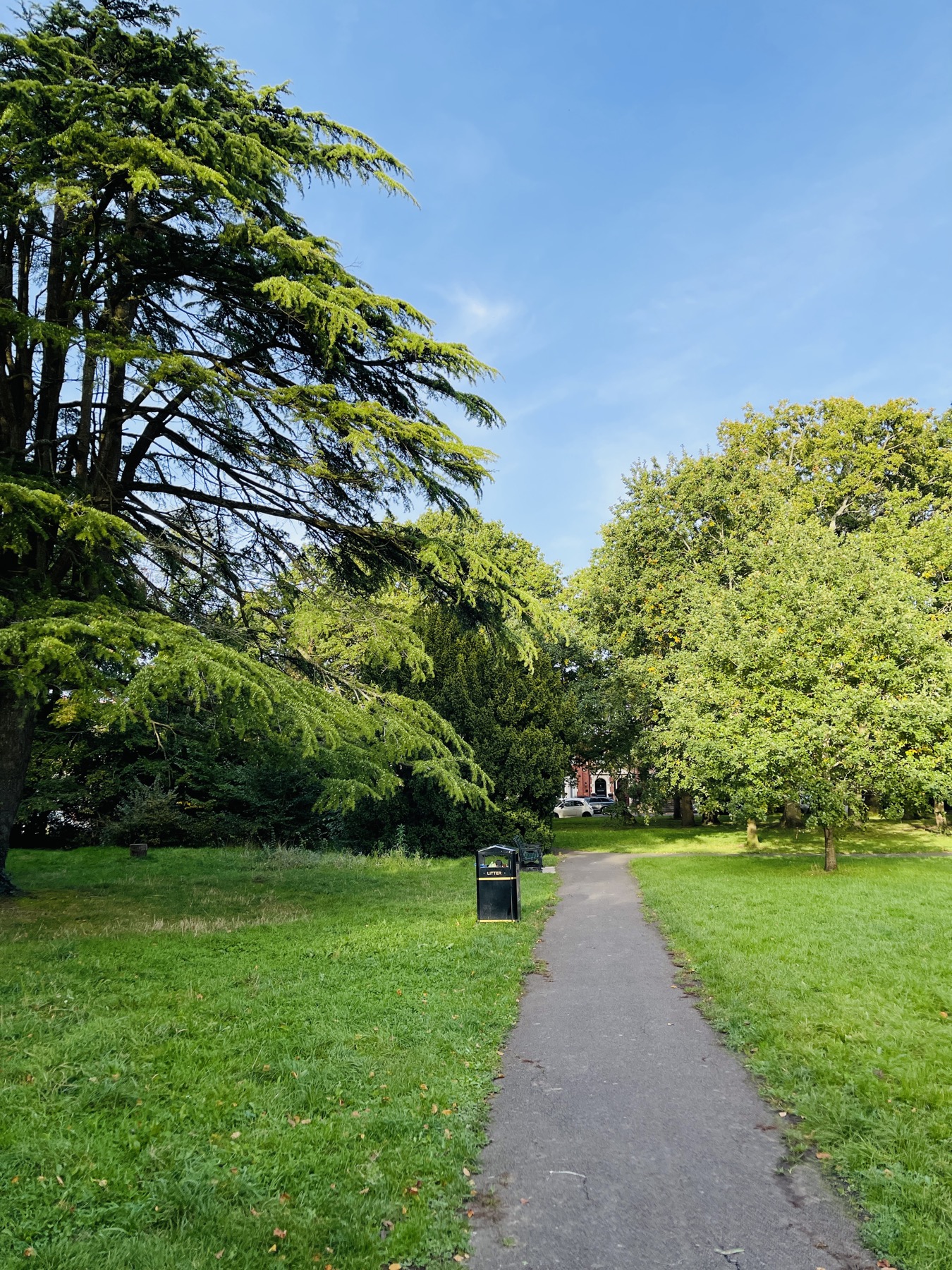 A path through Victoria Square Penarth under large green trees
