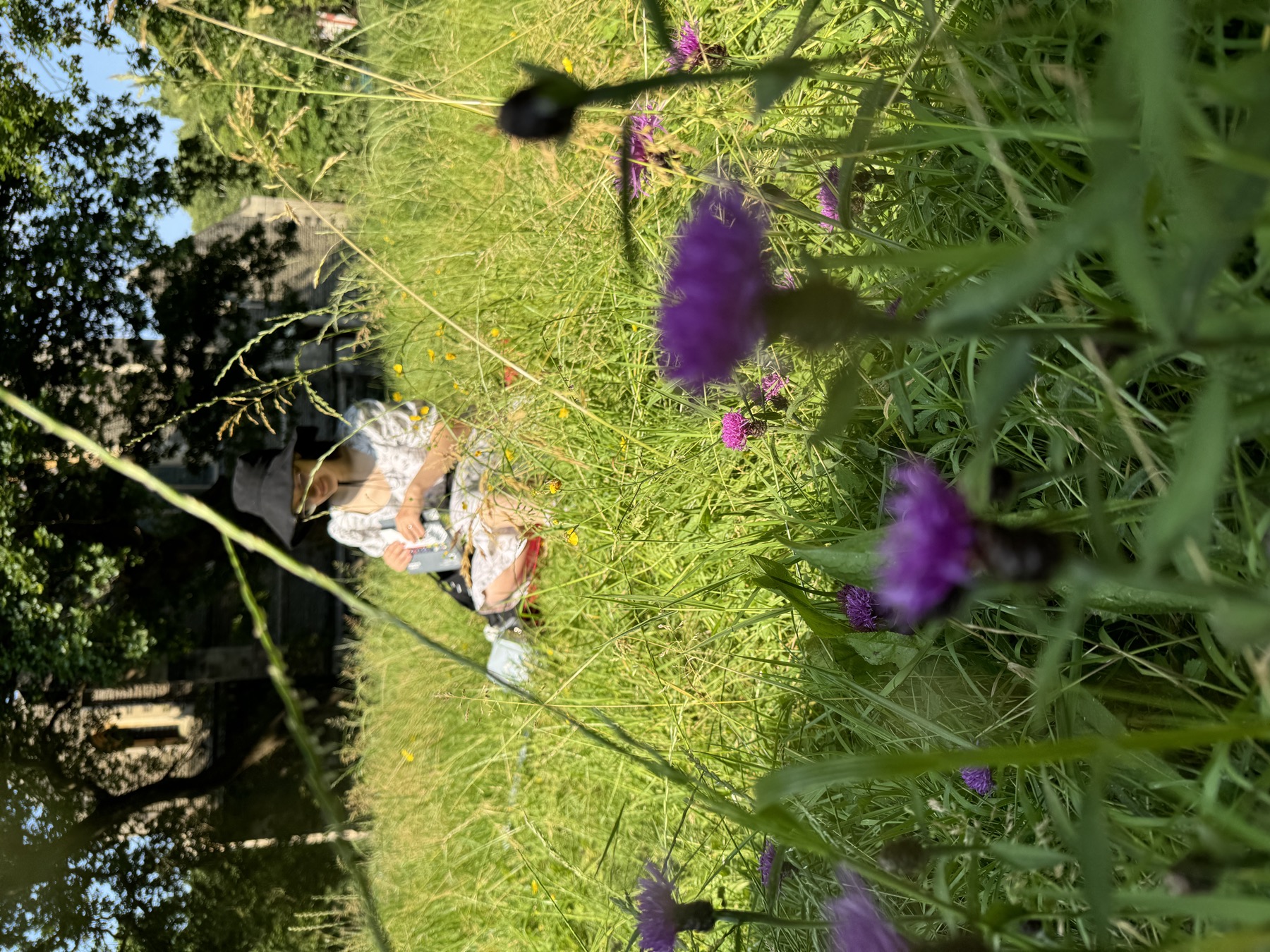 Artists sketching in long grass in Victoria Square Penarth