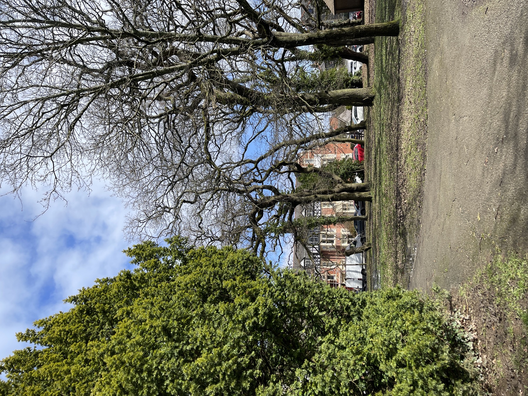 Victoria Square Penarth in winter with trees and houses beyond