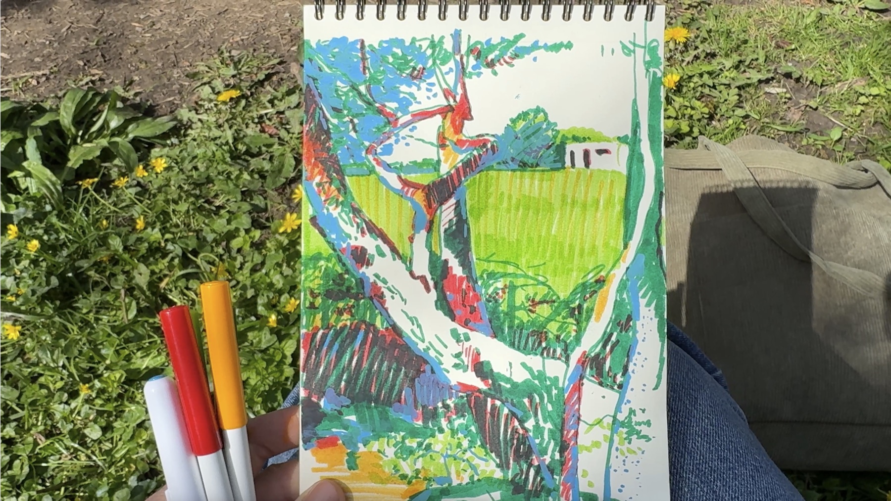 Bright marker sketch of a tree held outdoors